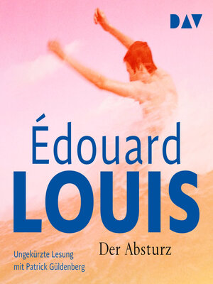 cover image of Der Absturz (Ungekürzt)